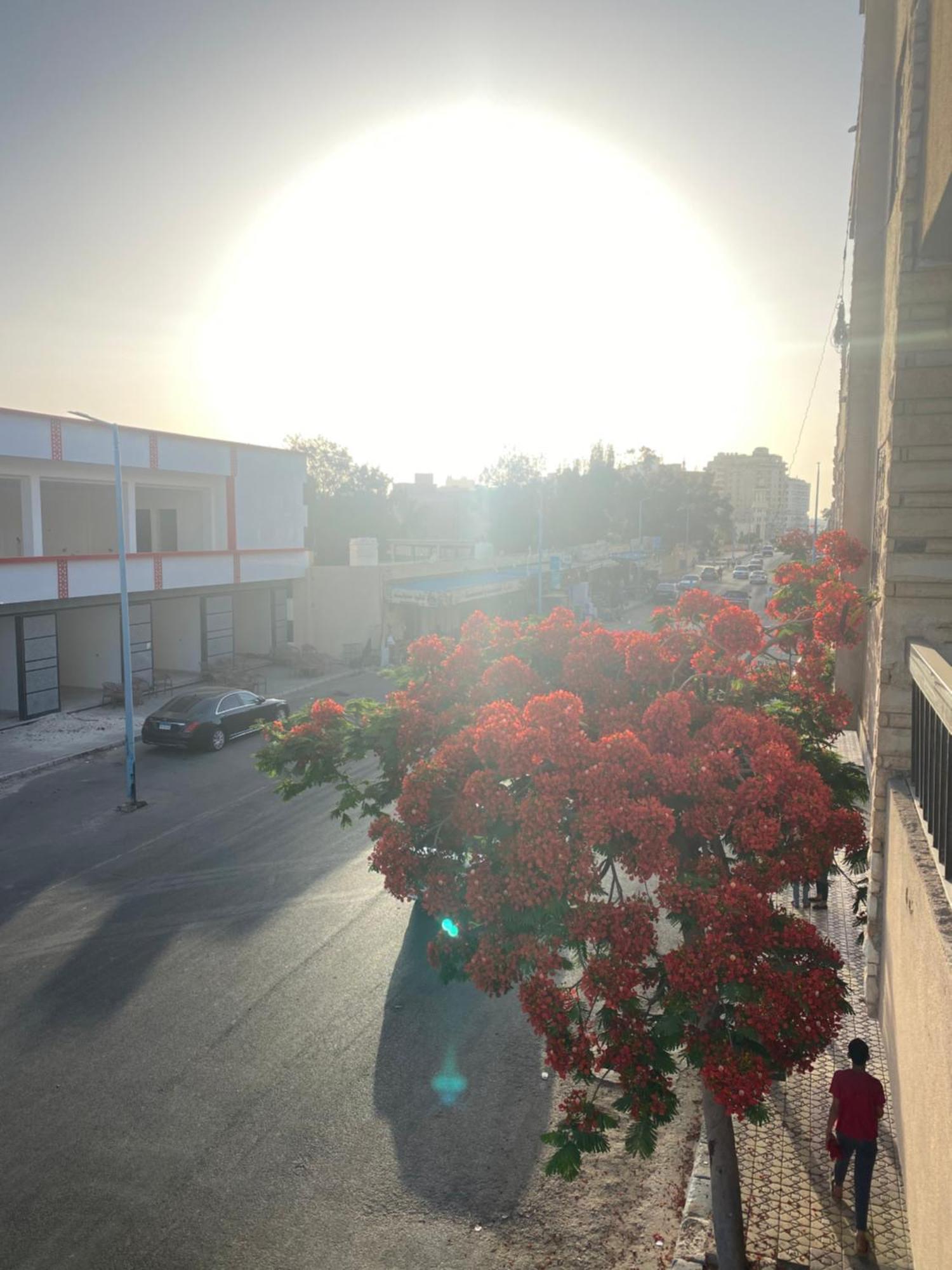 Apartment الساحل بجوار السينما السلام والسيرك العالمي وفندق السلام *