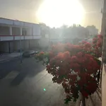 فندق الساحل بجوار السينما السلام والسيرك العالمي وفندق السلام